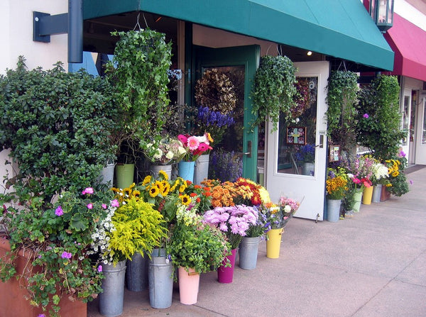 flowers shop mississauga