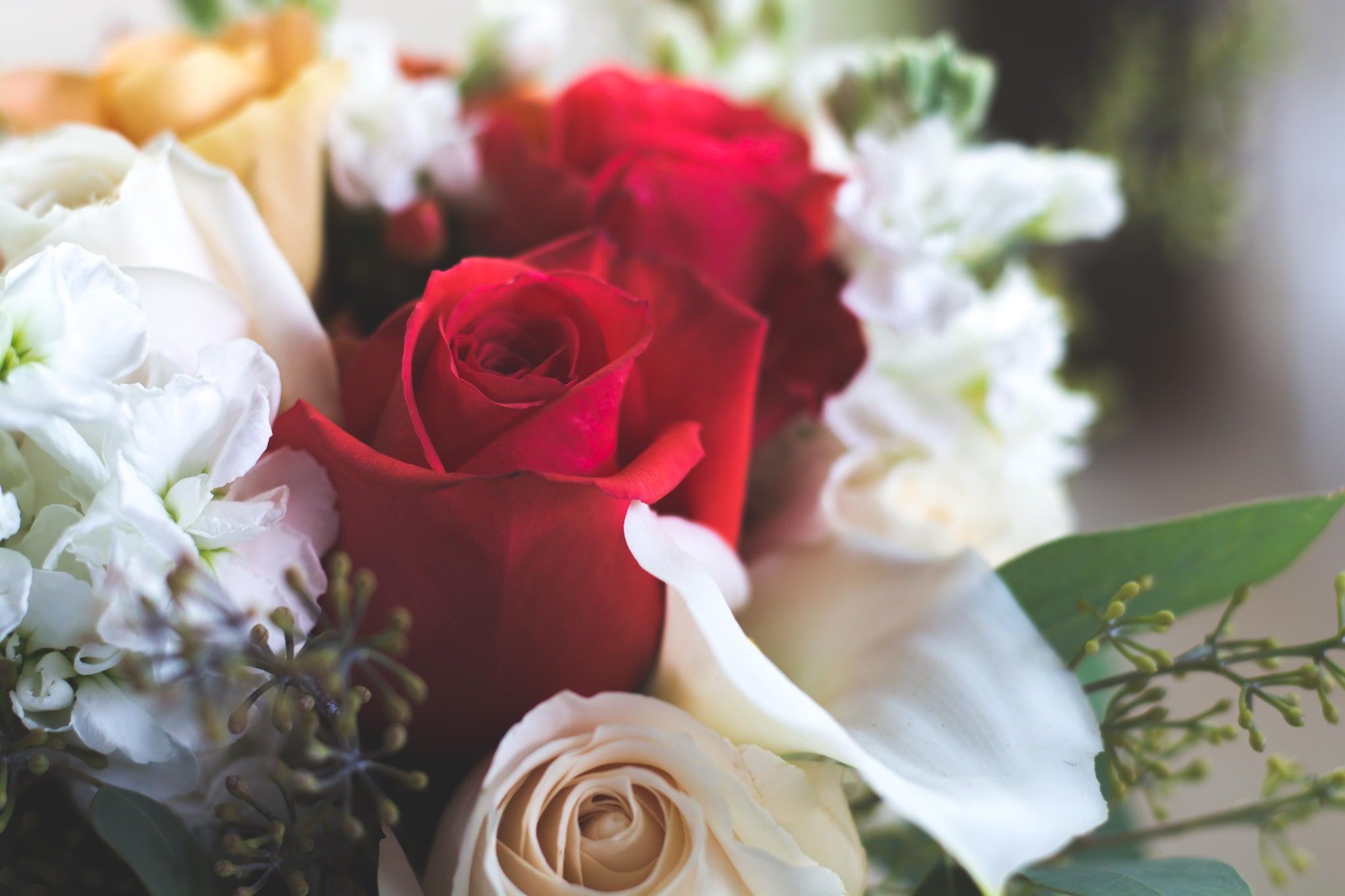 Popular & Best Selling Flowers Mississauga Euroflowers Euro Flowers