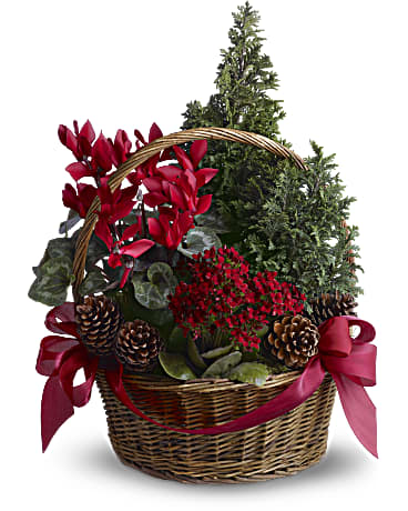 EFX152 Tannenbaum Basket