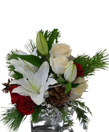 EFX120 Winter Touch - Euro Flowers Mississauga ON