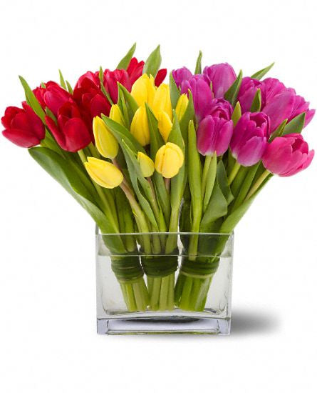 EFM110 Tulips Together - Euro Flowers Mississauga ON
