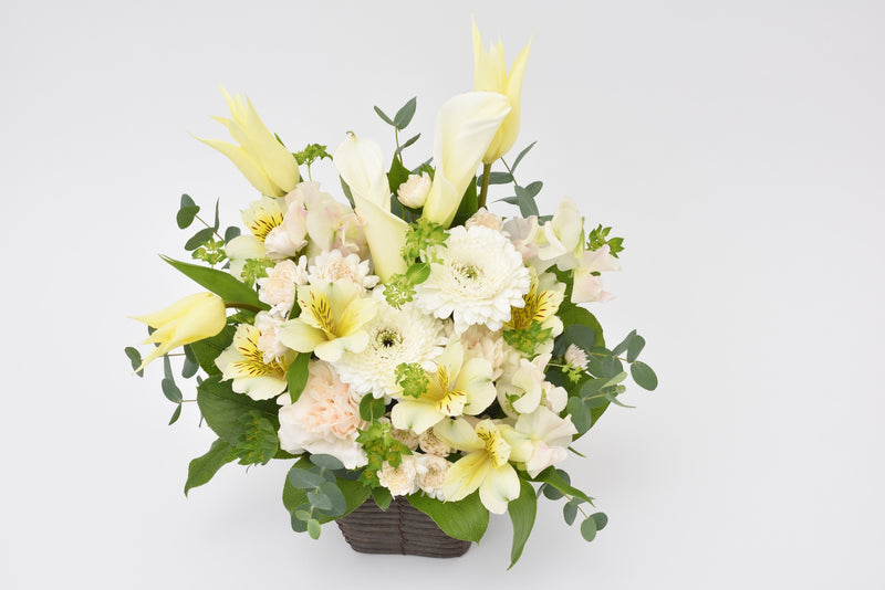 Florist's Choice Custom Arrangement - Euro Flowers Mississauga ON