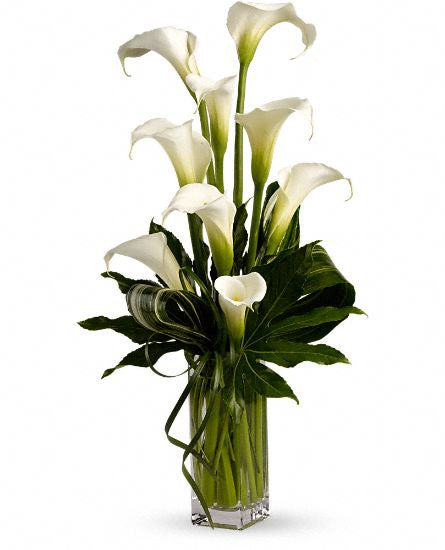 EF101 -  My Fair Lady Flower Arrangement - Euro Flowers Mississauga ON