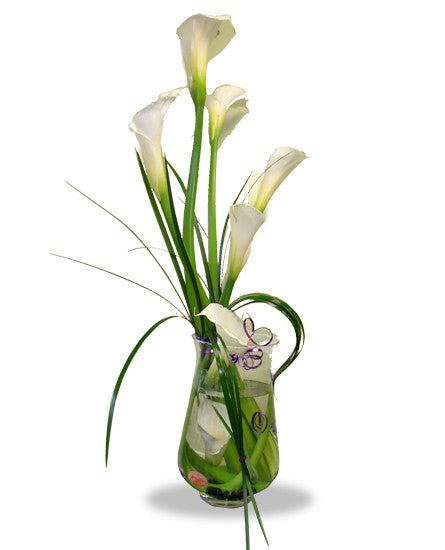 EF102 - Contemporary Callas Flower Arrangement - Euro Flowers Mississauga ON