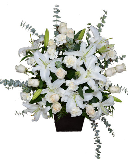 EF115 - Peace Celebration - Euro Flowers Mississauga ON