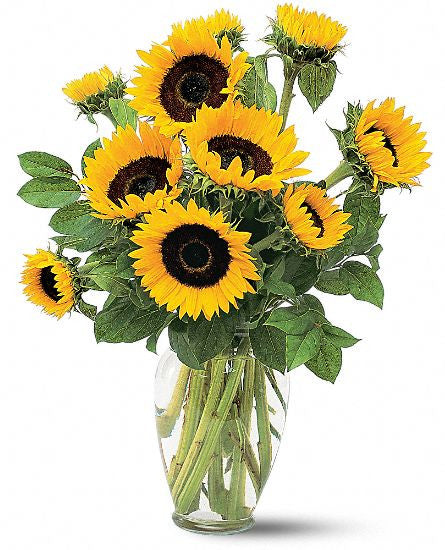 EF604 Shining Sunflowers - Euro Flowers Mississauga ON