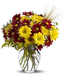 EF809 Fall for Daisies - Euro Flowers Mississauga ON