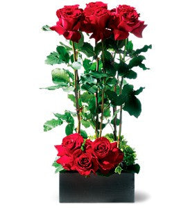 EFV104 Scarlet Splendor Roses - Euro Flowers Mississauga ON