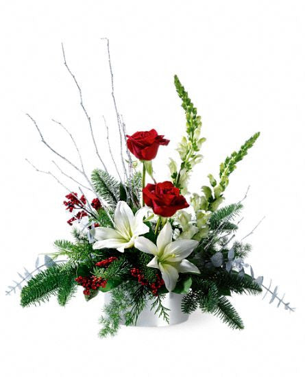 EFX110 Winter frost - Euro Flowers Mississauga ON