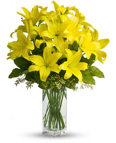 EFE107 Lily Sunshine - Euro Flowers Mississauga ON