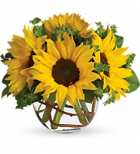 EF811 Sunny Sunflowers - Euro Flowers Mississauga ON