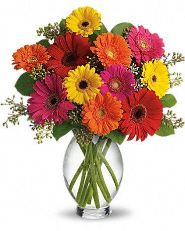 EFM100 Gerbera Brights Flower Arrangement - Euro Flowers Mississauga ON